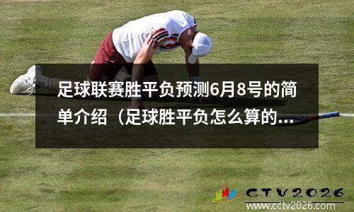 足球联赛胜平负预测6月8号的简单介绍（足球胜平负怎么算的啊）