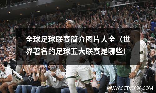 全球足球联赛简介图片大全（世界著名的足球五大联赛是哪些）