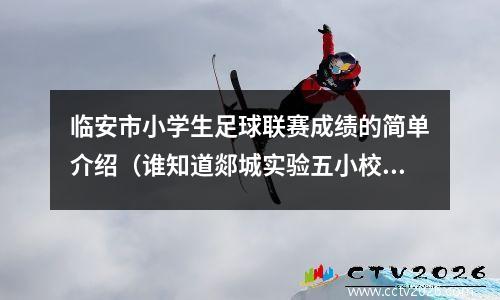 临安市小学生足球联赛成绩的简单介绍（谁知道郯城实验五小校长是谁）