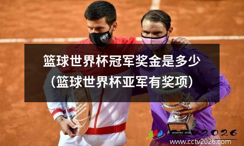 篮球世界杯冠军奖金是多少（篮球世界杯亚军有奖项）