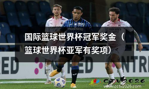 国际篮球世界杯冠军奖金（篮球世界杯亚军有奖项）