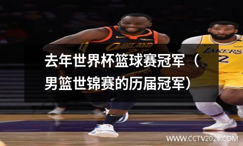 去年世界杯篮球赛冠军（男篮世锦赛的历届冠军）