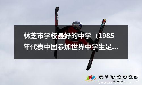 林芝市学校最好的中学（1985年代表中国参加世界中学生足球锦标赛队员名单）