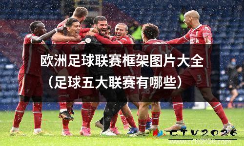 欧洲足球联赛框架图片大全（足球五大联赛有哪些）