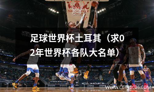 足球世界杯土耳其（求02年世界杯各队大名单）