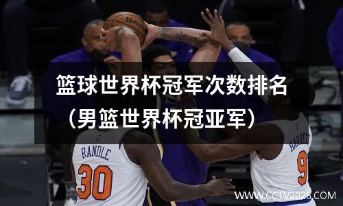 篮球世界杯冠军次数排名（男篮世界杯冠亚军）
