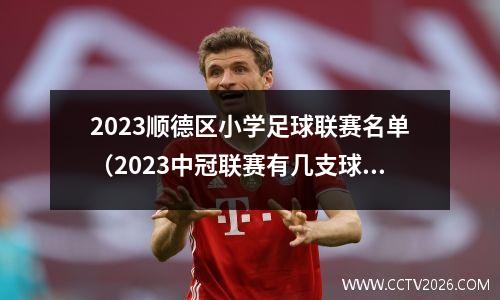 2023顺德区小学足球联赛名单（2023中冠联赛有几支球队参加）