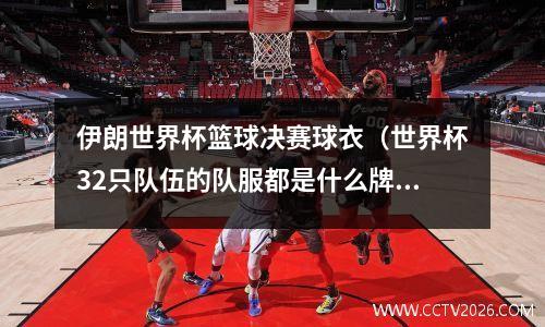 伊朗世界杯篮球决赛球衣（世界杯32只队伍的队服都是什么牌子的）