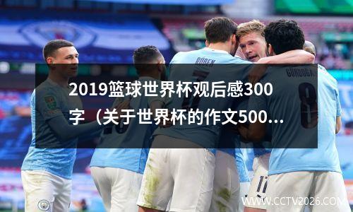 2019篮球世界杯观后感300字（关于世界杯的作文500字三篇）