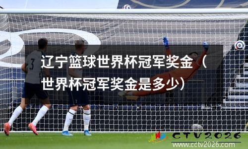 辽宁篮球世界杯冠军奖金（世界杯冠军奖金是多少）