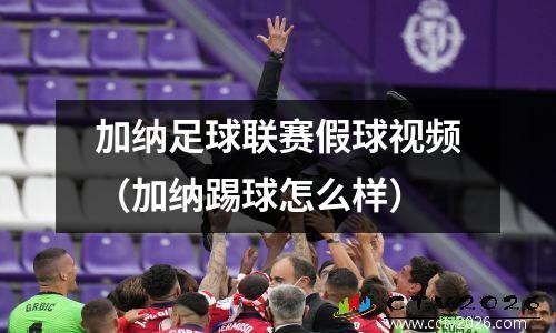 加纳足球联赛假球视频（加纳踢球怎么样）