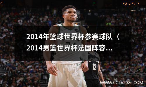2014年篮球世界杯参赛球队（2014男篮世界杯法国阵容）