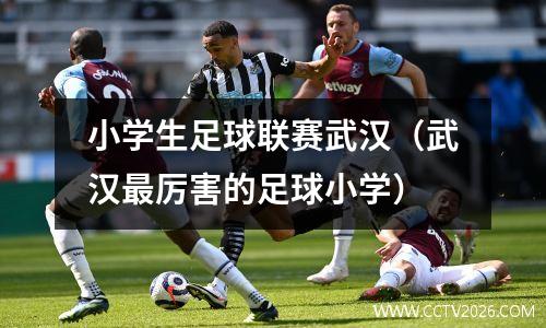 小学生足球联赛武汉（武汉最厉害的足球小学）