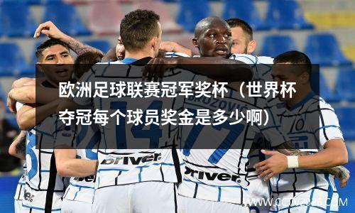 欧洲足球联赛冠军奖杯（世界杯夺冠每个球员奖金是多少啊）