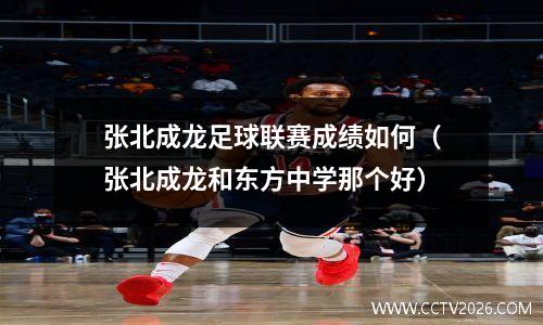 张北成龙足球联赛成绩如何（张北成龙和东方中学那个好）