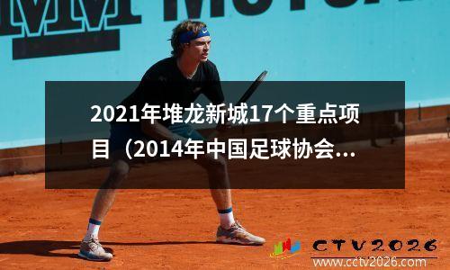 2021年堆龙新城17个重点项目（2014年中国足球协会业余联赛的厦门赛区）