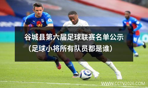 谷城县第六届足球联赛名单公示（足球小将所有队员都是谁）