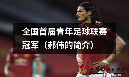 全国首届青年足球联赛冠军（郝伟的简介）