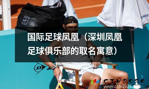 国际足球凤凰（深圳凤凰足球俱乐部的取名寓意）