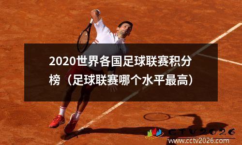 2020世界各国足球联赛积分榜（足球联赛哪个水平最高）