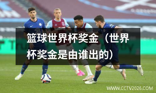 篮球世界杯奖金（世界杯奖金是由谁出的）