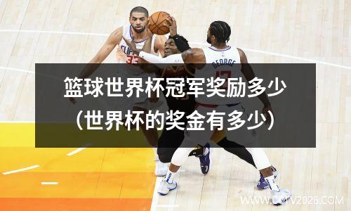 篮球世界杯冠军奖励多少（世界杯的奖金有多少）