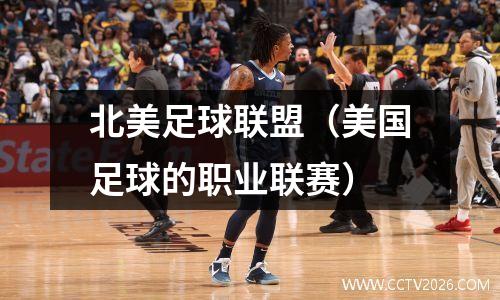 北美足球联盟（美国足球的职业联赛）