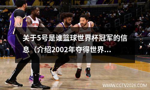 关于5号是谁篮球世界杯冠军的信息（介绍2002年夺得世界杯冠军巴西队的主力15号和5号）