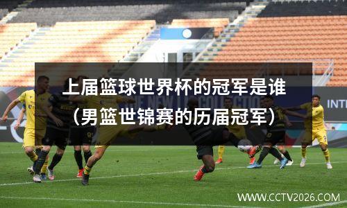 上届篮球世界杯的冠军是谁（男篮世锦赛的历届冠军）