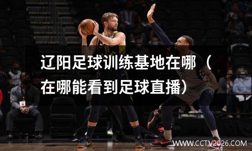 辽阳足球训练基地在哪（在哪能看到足球直播）