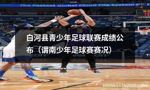 白河县青少年足球联赛成绩公布（谓南少年足球赛赛况）