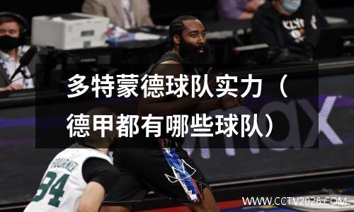多特蒙德球队实力（德甲都有哪些球队）