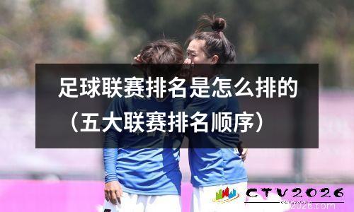 足球联赛排名是怎么排的（五大联赛排名顺序）