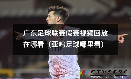 广东足球联赛假赛视频回放在哪看（亚鸣足球哪里看）