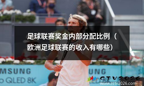 足球联赛奖金内部分配比例（欧洲足球联赛的收入有哪些）