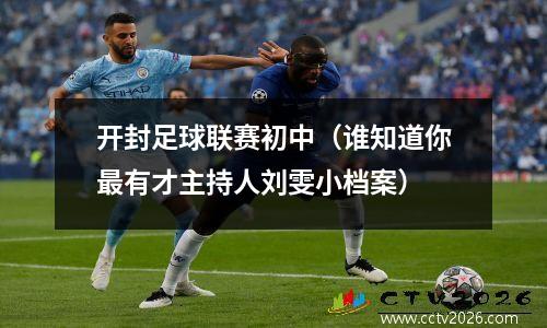 开封足球联赛初中（谁知道你最有才主持人刘雯小档案）