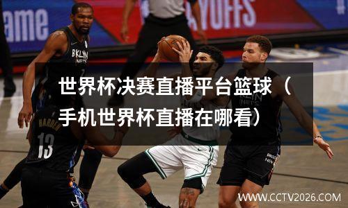 世界杯决赛直播平台篮球（手机世界杯直播在哪看）