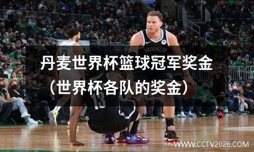 丹麦世界杯篮球冠军奖金（世界杯各队的奖金）