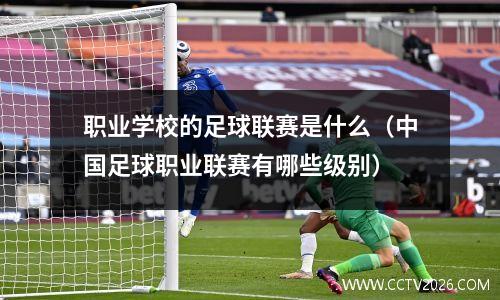 职业学校的足球联赛是什么（中国足球职业联赛有哪些级别）