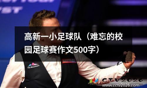 高新一小足球队（难忘的校园足球赛作文500字）
