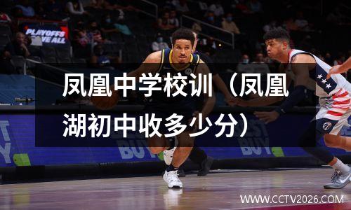 凤凰中学校训（凤凰湖初中收多少分）