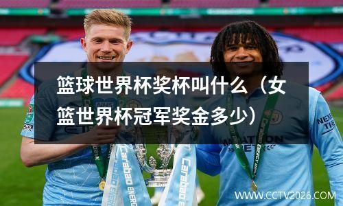 篮球世界杯奖杯叫什么（女篮世界杯冠军奖金多少）