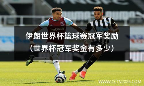伊朗世界杯篮球赛冠军奖励（世界杯冠军奖金有多少）