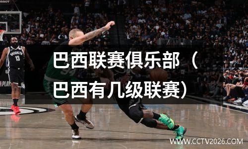 巴西联赛俱乐部（巴西有几级联赛）