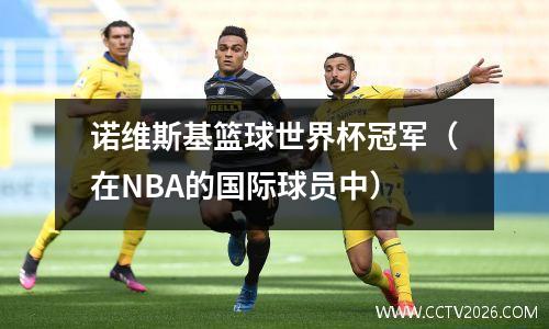 诺维斯基篮球世界杯冠军（在NBA的国际球员中）