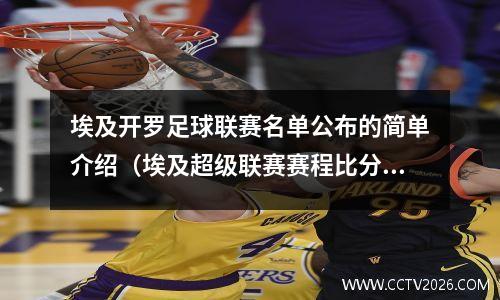 埃及开罗足球联赛名单公布的简单介绍（埃及超级联赛赛程比分）