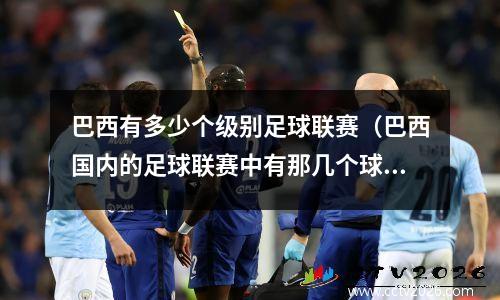 巴西有多少个级别足球联赛（巴西国内的足球联赛中有那几个球队）