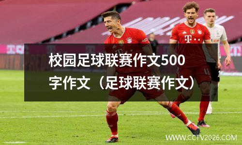 校园足球联赛作文500字作文（足球联赛作文）
