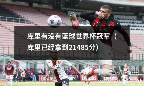 库里有没有篮球世界杯冠军（库里已经拿到21485分）