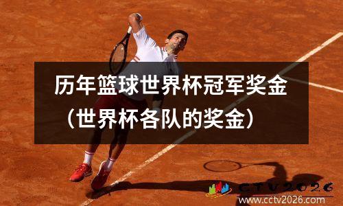 历年篮球世界杯冠军奖金（世界杯各队的奖金）